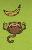 Code Monkey clipart